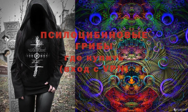 экстази Пересвет