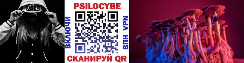 Галлюциногенные грибы мицелий  Дмитриев 