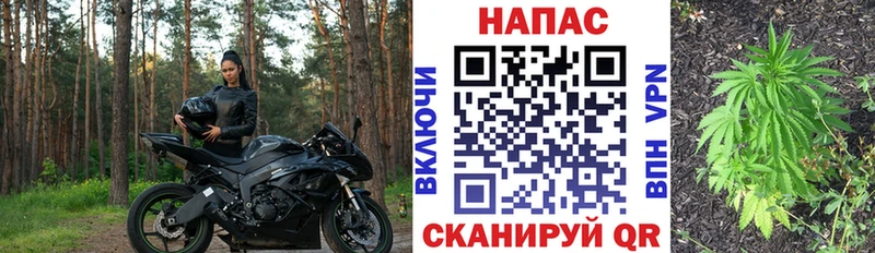 МАРИХУАНА THC 21% Дмитриев